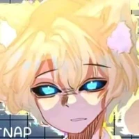 hiha anti catnap