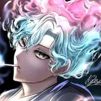 hiha des
