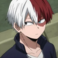 Todoroki Shouto [Shouto]
