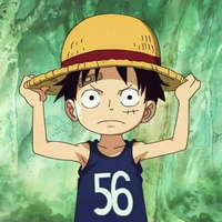 Monkey D Luffy