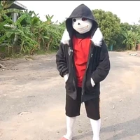 Fell sans