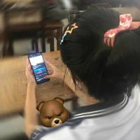 Phlamm cutii