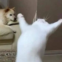 Tác giả thích...xem thêm