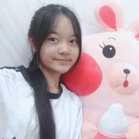 Nguyễn thị mai Phương (em gái iu)