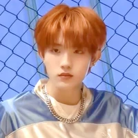 Tô Tân Hạo_ cậu