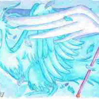 Fly