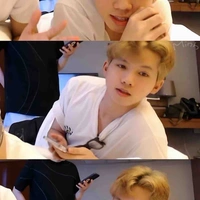 Hữu Đạt-phi níc 