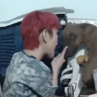 cả nhóm báo (Saku,yuri,min,di,nira,naru)