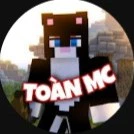 Toàn