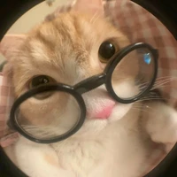 Shi