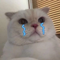 tác giả( cua)