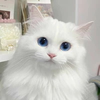 { Tiểu Miêu } { Hệ Thống } {057 }