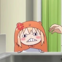 Tác giả nửa mùa