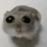 cả lớp 