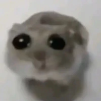 cả lớp 