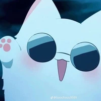 mèo con t/g