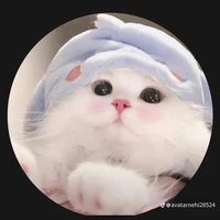 Hệ thống mèo meww