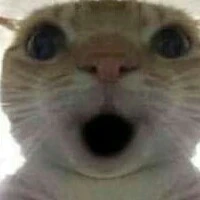 con tác giả =))))