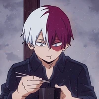 Todoroki Shouto