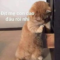 Cân mọi nhân vật