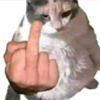 Nvp (đa giới tính)