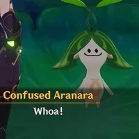 Hai kon quể try thứt