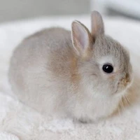 Hệ thống 946 (William)