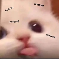 All (-trừ ai cần trừ)