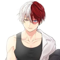 Todoroki Shouto--Shoto
