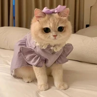 Mimi
