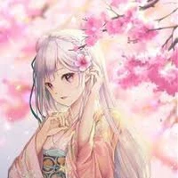 Salary Sakura