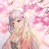 Salary Sakura