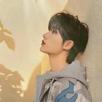 Đinh Trình Hâm