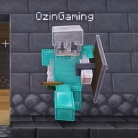 Ozin