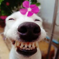 iem xinh hông?😘