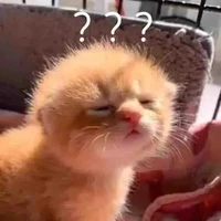 nhận vật bí ẩn