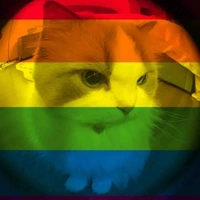 Hoàng NN Anh ( ngiu t/g )