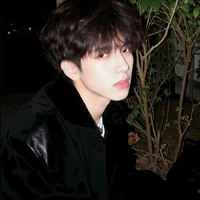 Vũ Bảo Huy_Giáo sư Toán