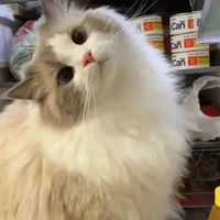 Taro
