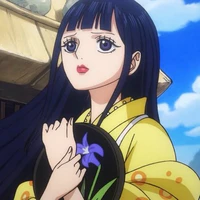 Kiku