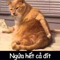 Tg xàm lìn-))