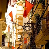 Hổ béo :)