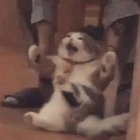 tác giả tỉnh táo :))