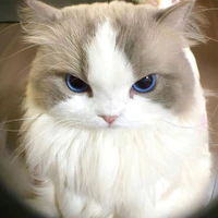 Con Đàn bà tham vọng😈