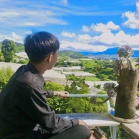 Đình hòa