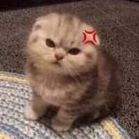 mấy bé bot =)