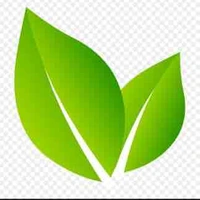 Minh