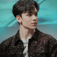 Chwe Hansol (Vernon)