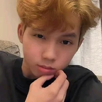 SGP Phoenix ┆phượng hoàng lỏ┆