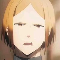 Sako kota